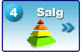 salg_4